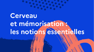 CanoTech - Cerveau et mémorisation : les notions essentielles